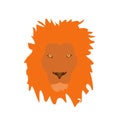 Muzzle lion vector